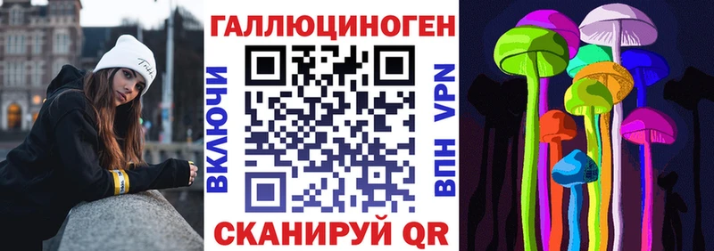 ОМГ ОМГ   как найти   Кадников  Псилоцибиновые грибы Psilocybe 